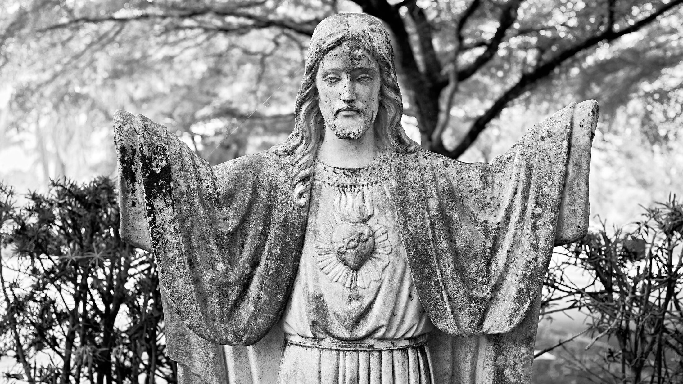 A statue of the Virgin Mary stands outdoors among trees.