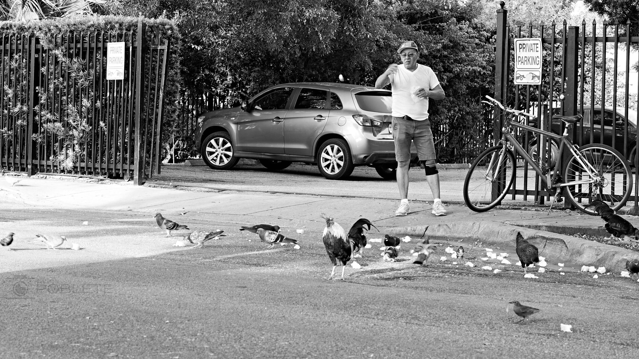 Birds scatter across a public square as people sit and walk nearby.