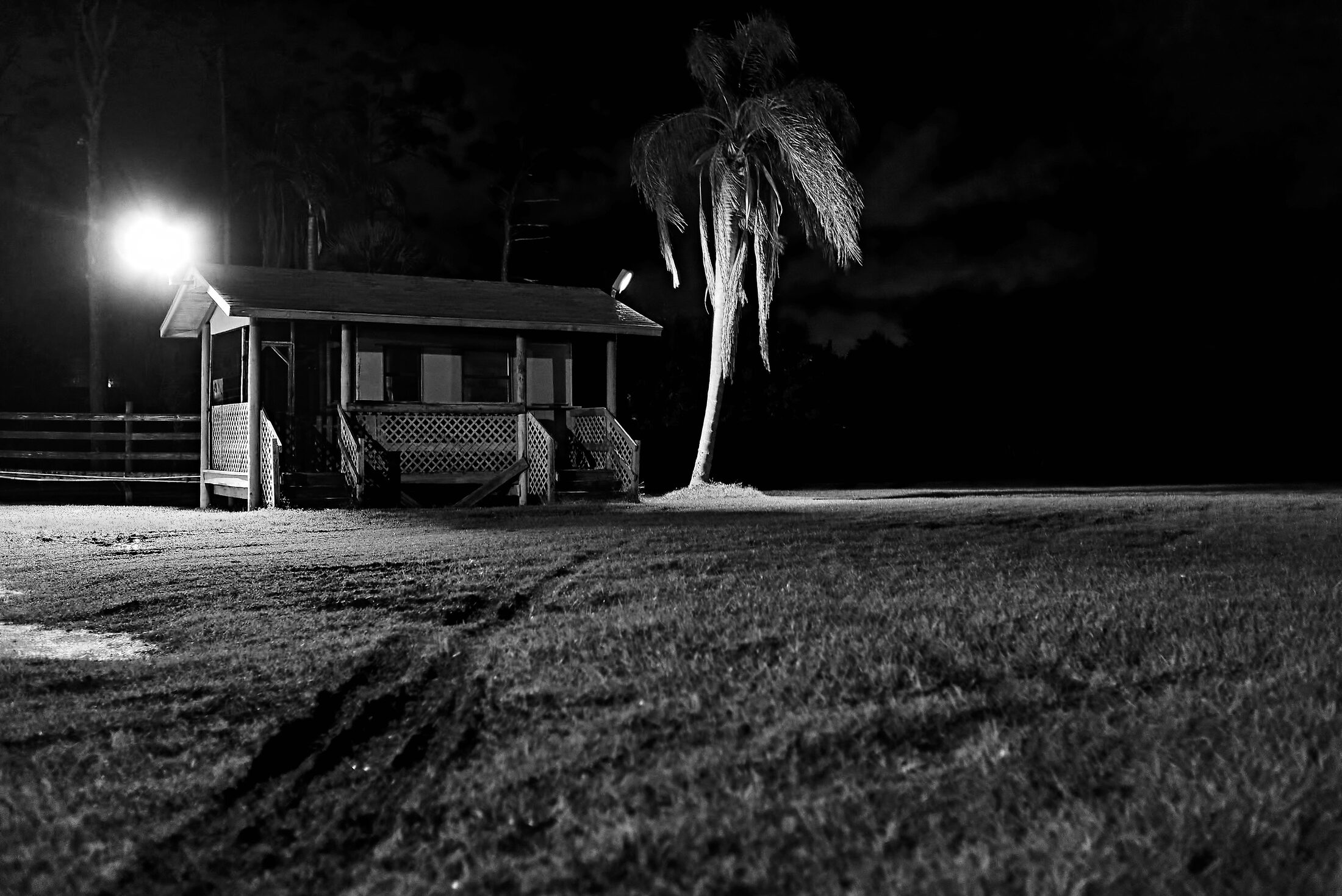 A small house and palm tree stand beneath a bright streetlight at night.
