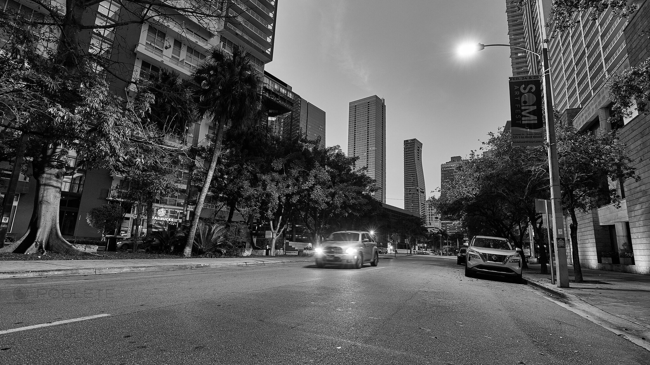 A moonlit downtown street runs between trees and high-rise buildings.