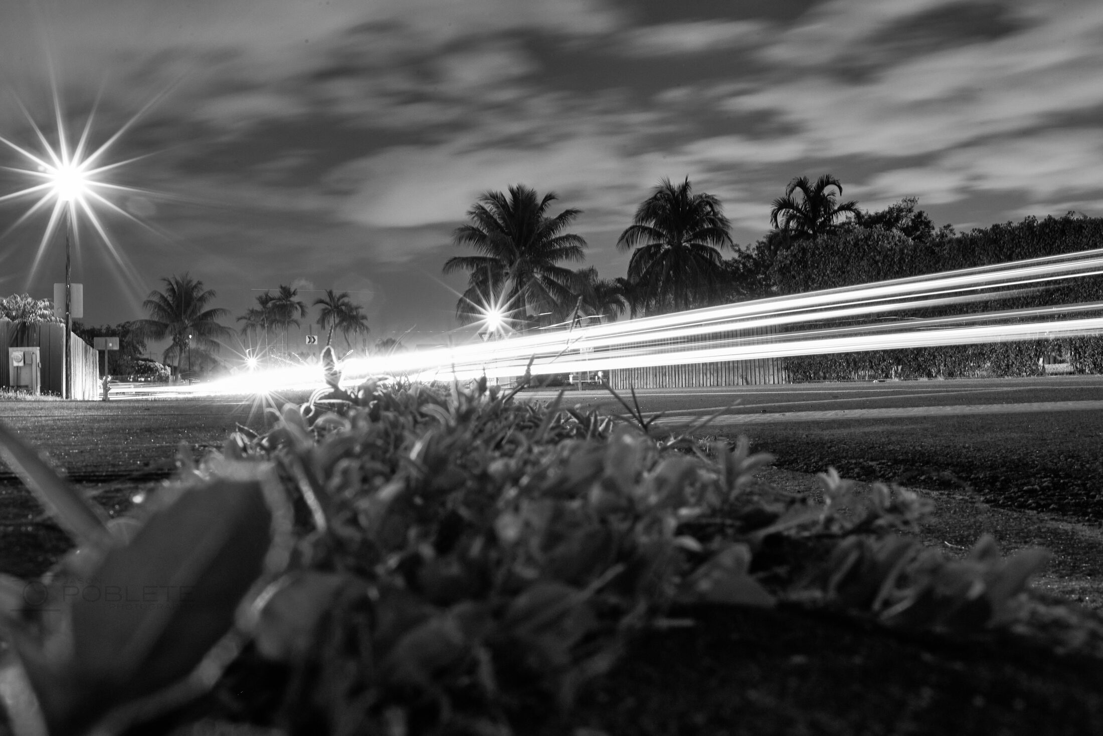 Headlight trails sweep past palm trees beneath a starburst streetlight.