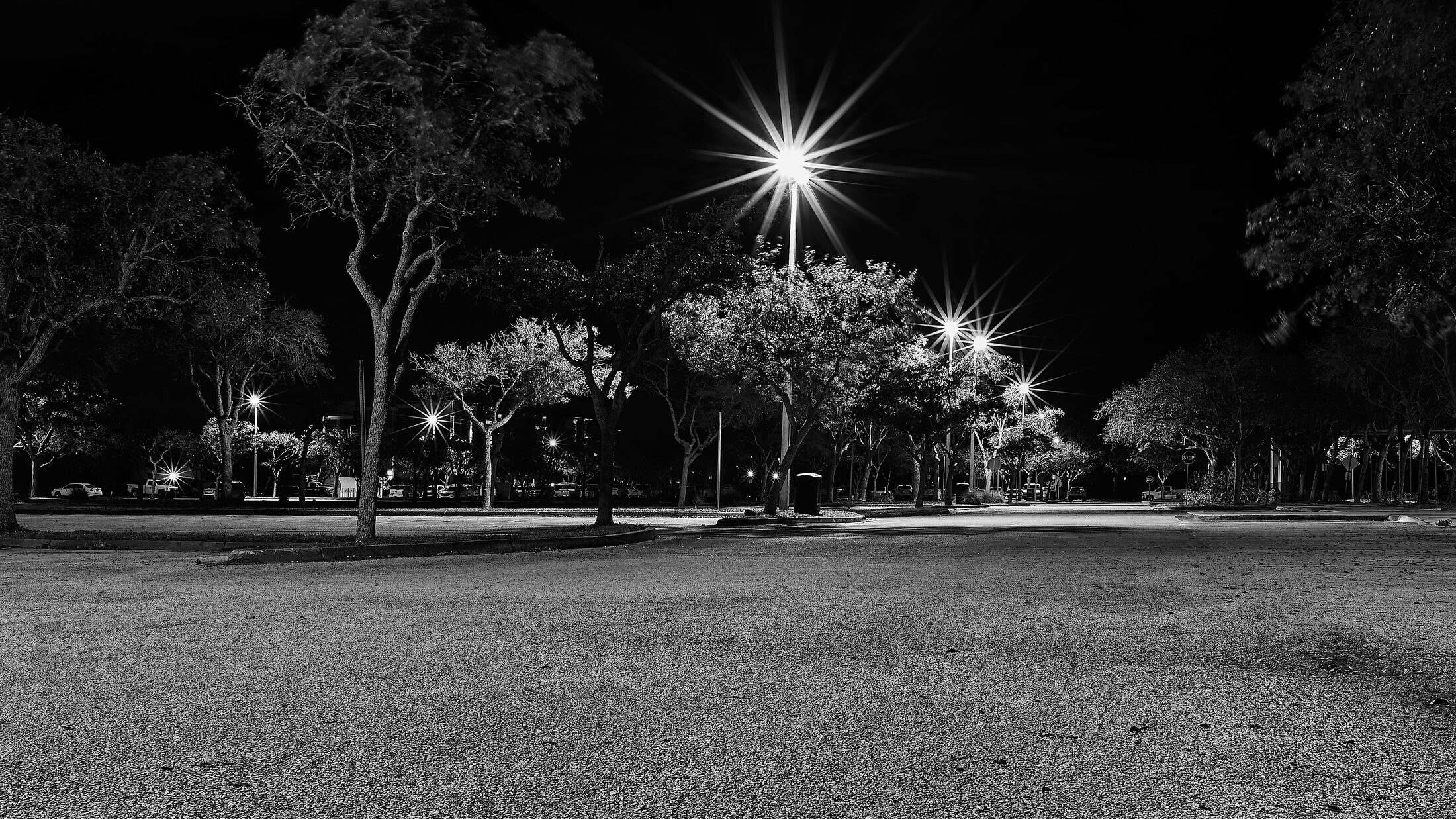 A streetlight forms a starburst above an empty park at night.