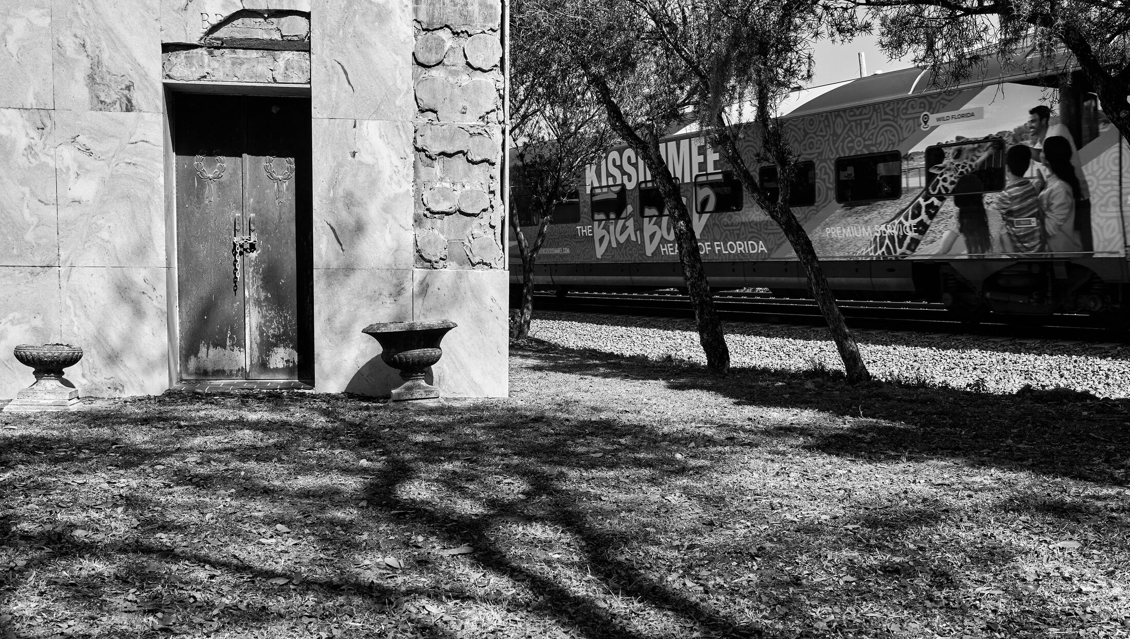 Tree shadows stretch across a weathered cemetery wall and path.