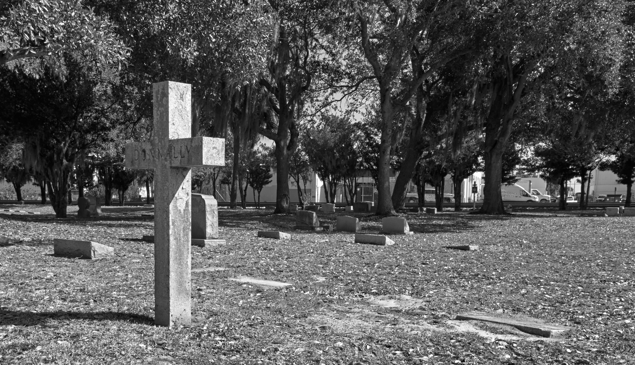 Simple grave markers stand across a broad grassy cemetery.