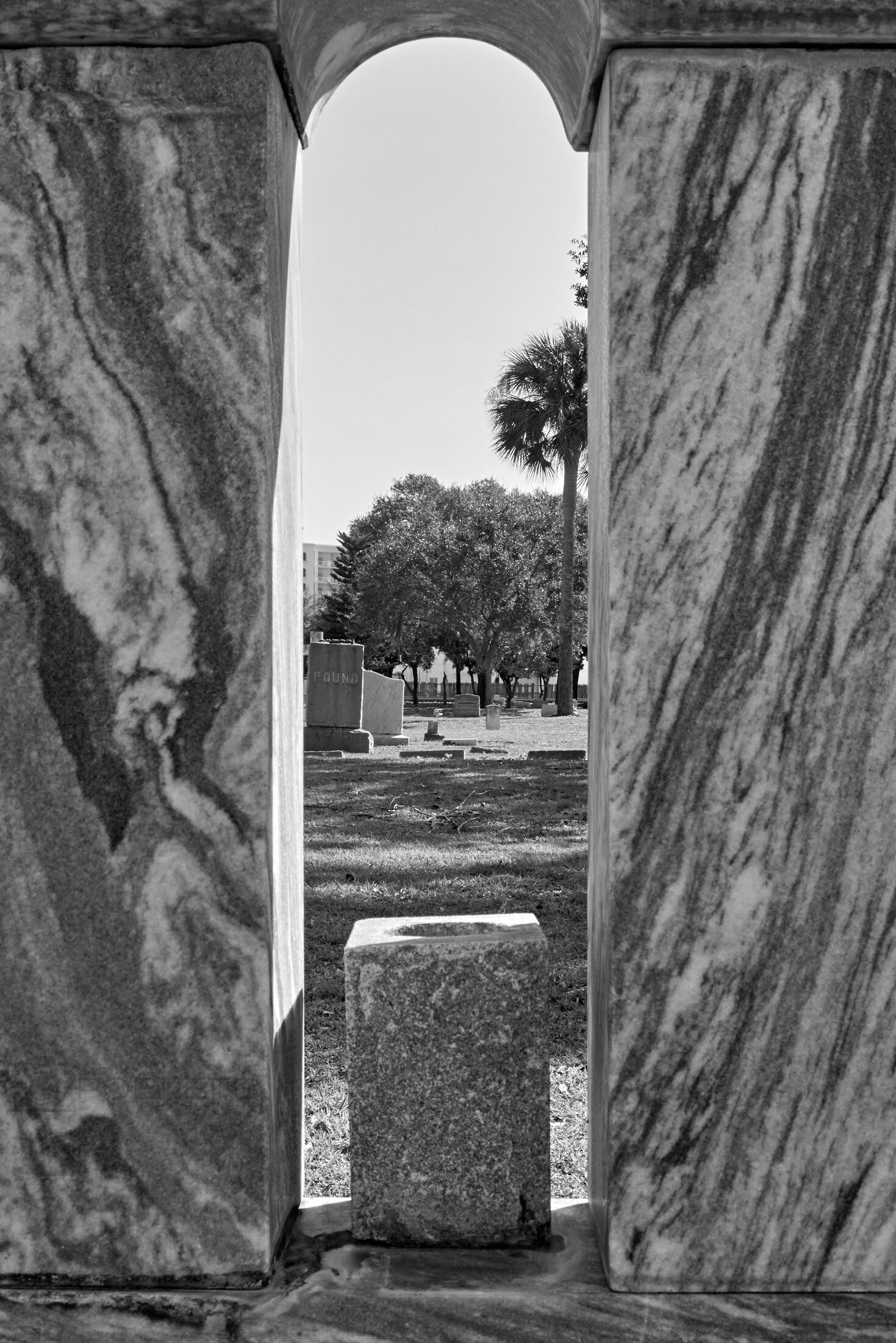 A grave marker is framed through a narrow opening between tree trunks.