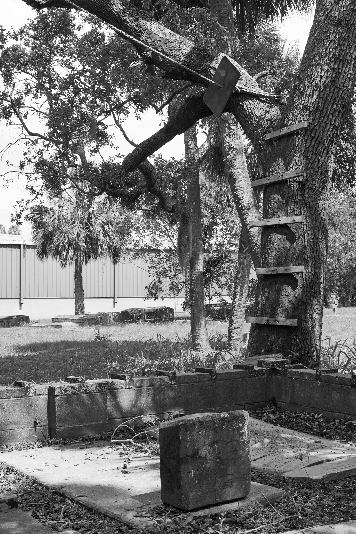 Old headstones sit beneath sprawling trees in a shaded cemetery.
