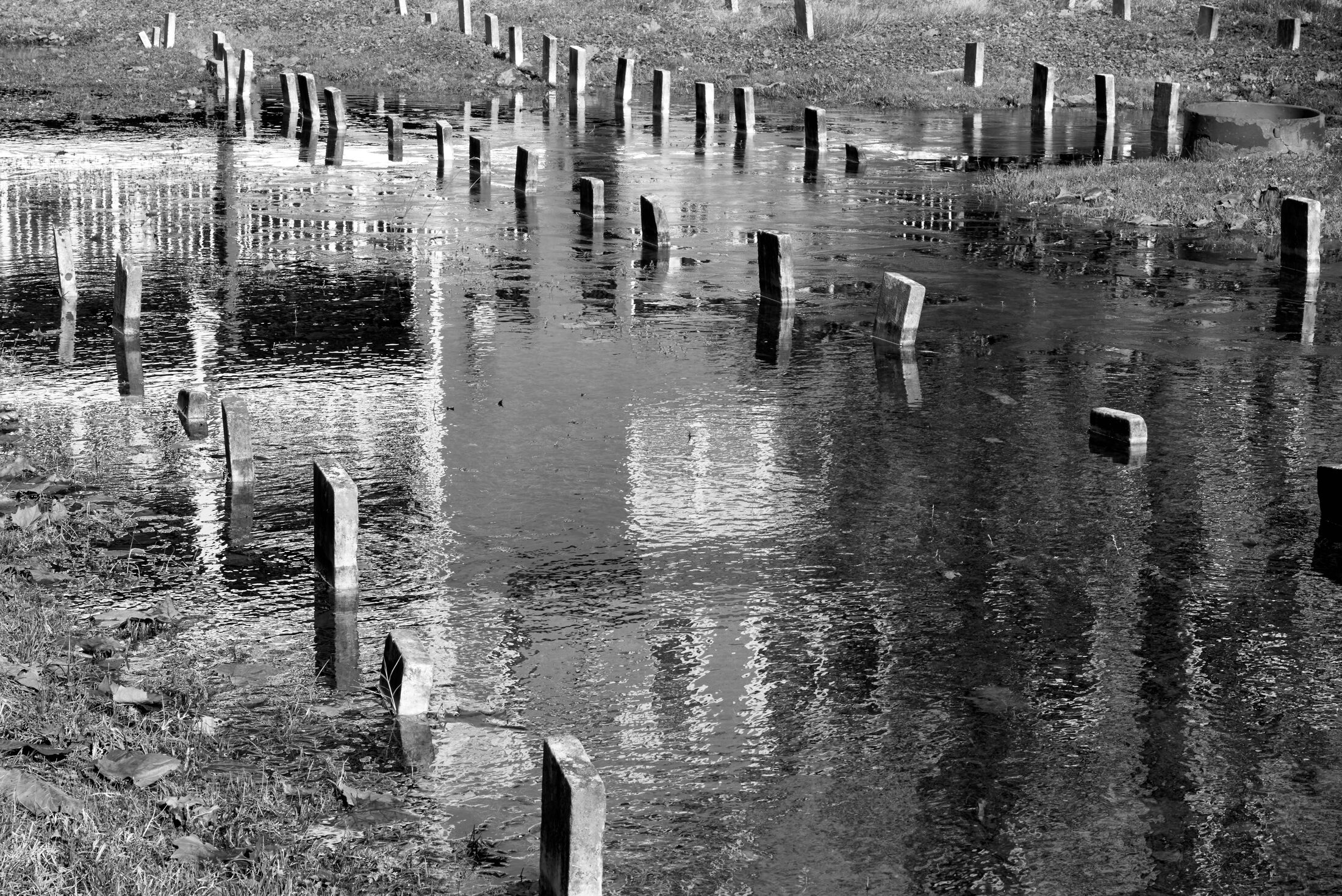 Rows of grave markers emerge from standing floodwater.