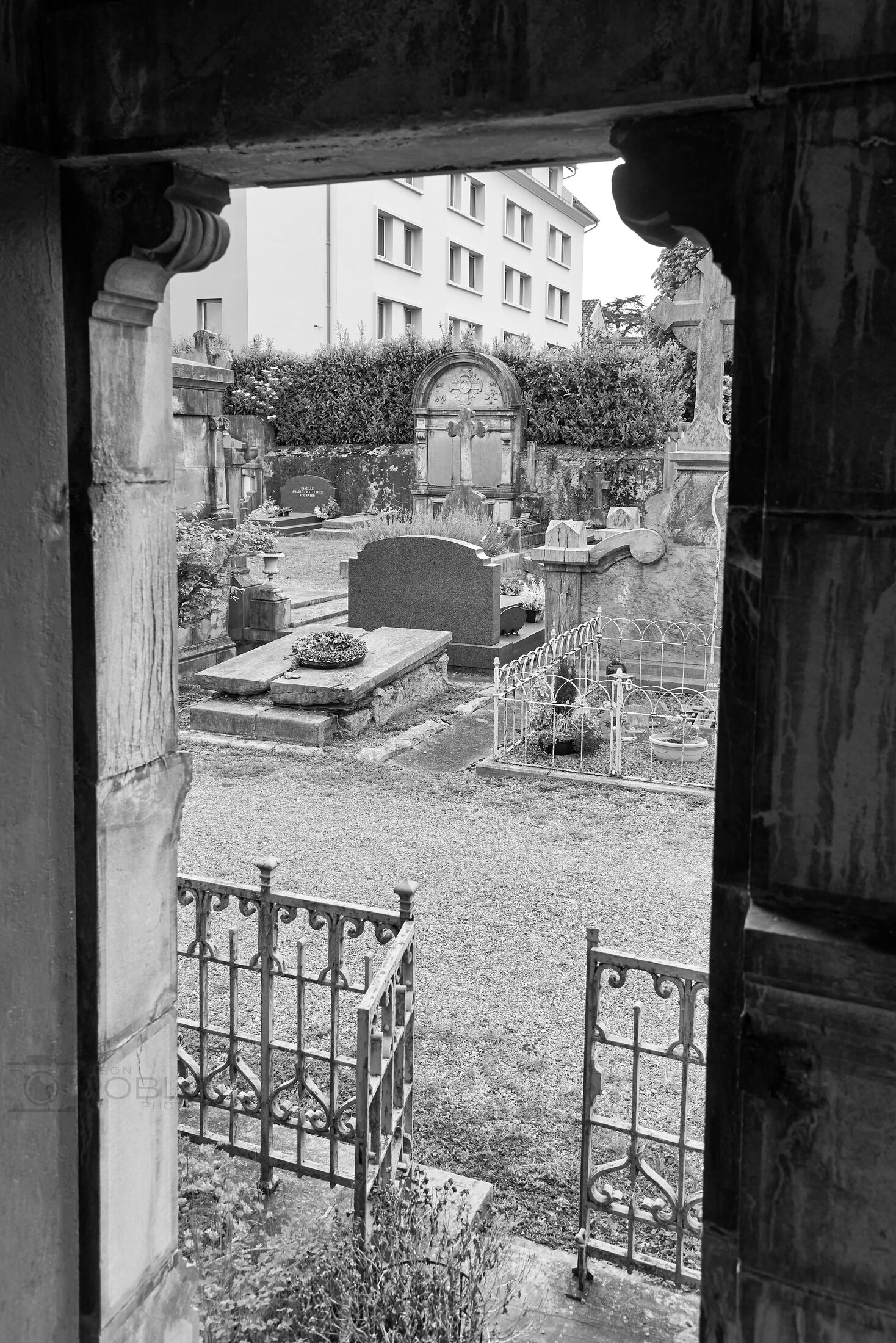 An open iron gate and stone doorway frame a densely layered cemetery.